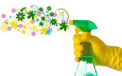 Appuntamento domestico con le pulizie di primavera