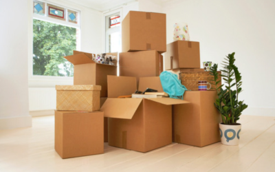 Qualche dritta per un trasloco senza stress